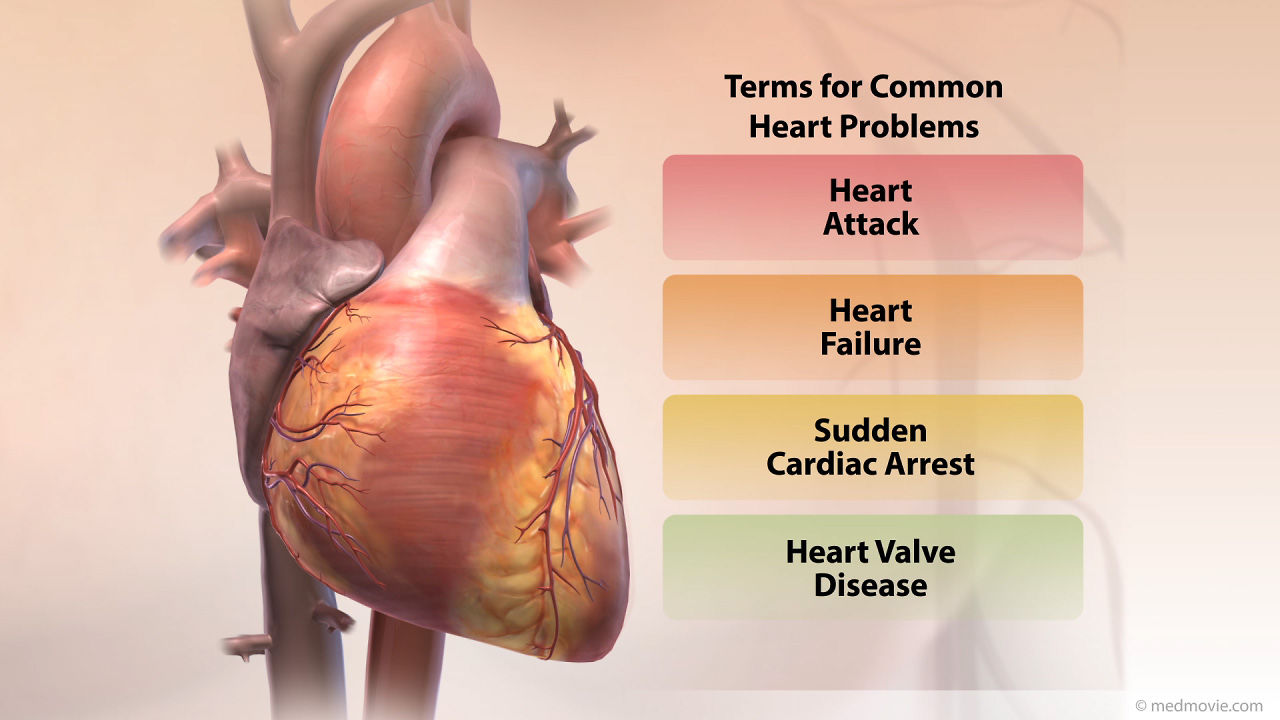 medmovie-common-heart-problems