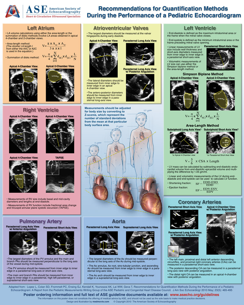 Medmovie.com | ASE Poster 11: Recommendations For Quantification ...