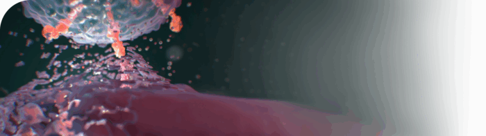 CAR-T cell