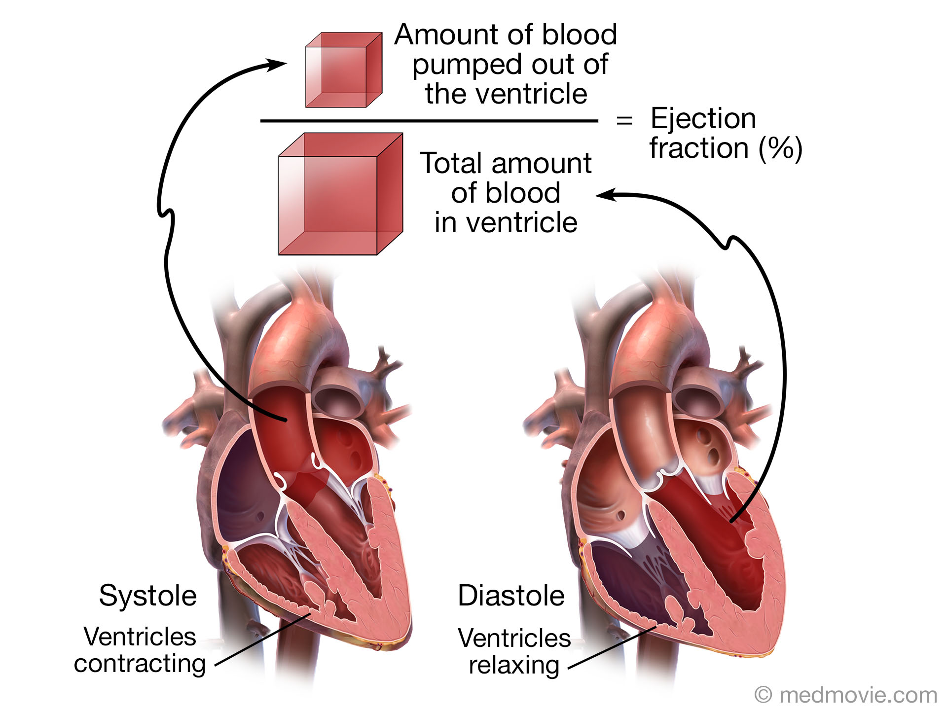 r-nlerimiz-ar-ivleri-dmg-valve