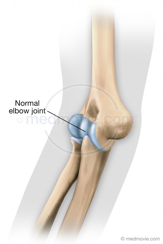 Normal Elbow Joint